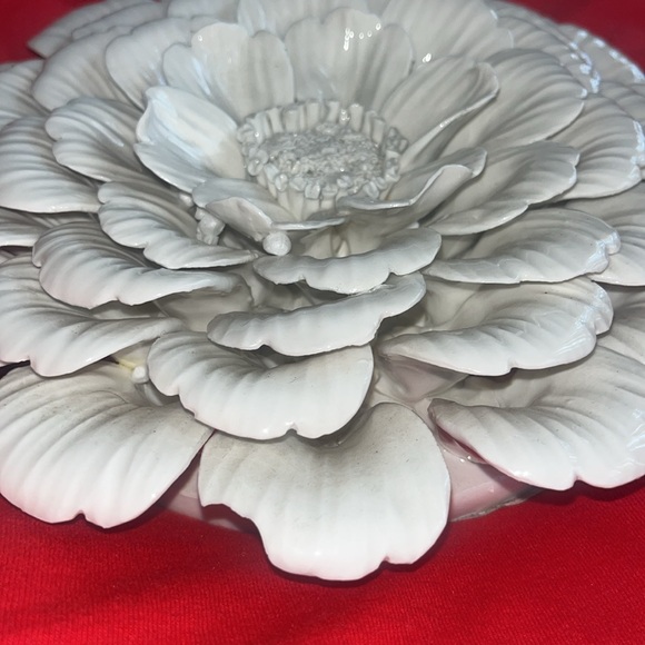 Tozai - Picture 2 of 9